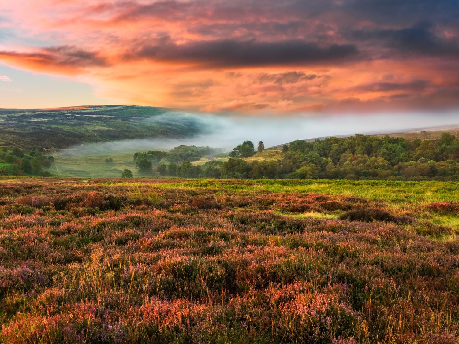 North York Moors